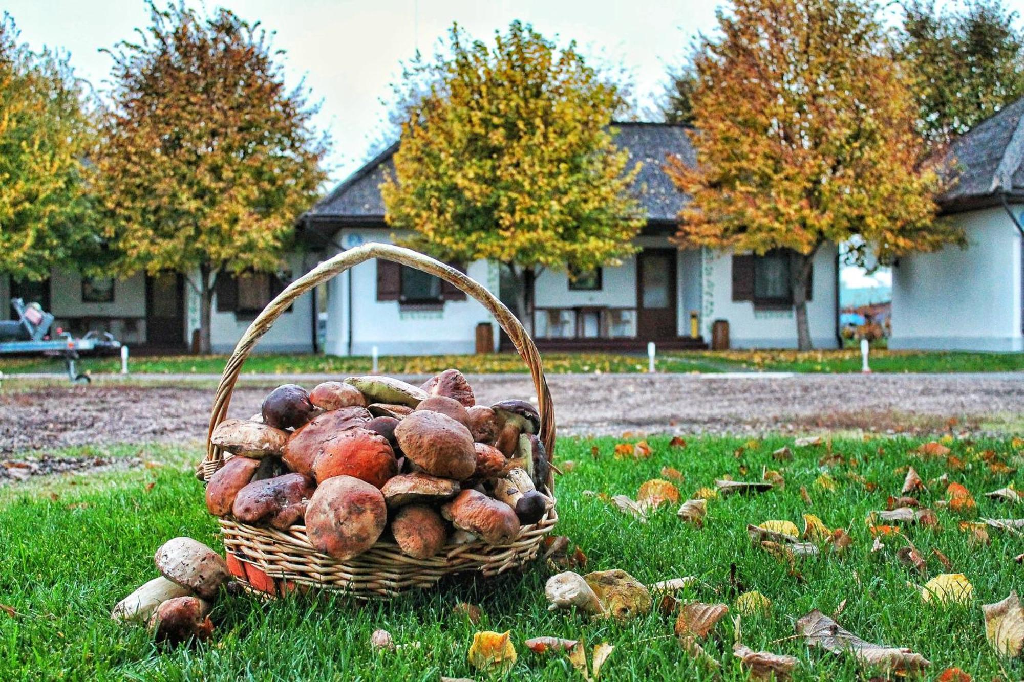Bereg Holiday Park Szvitlohirszke Kültér fotó