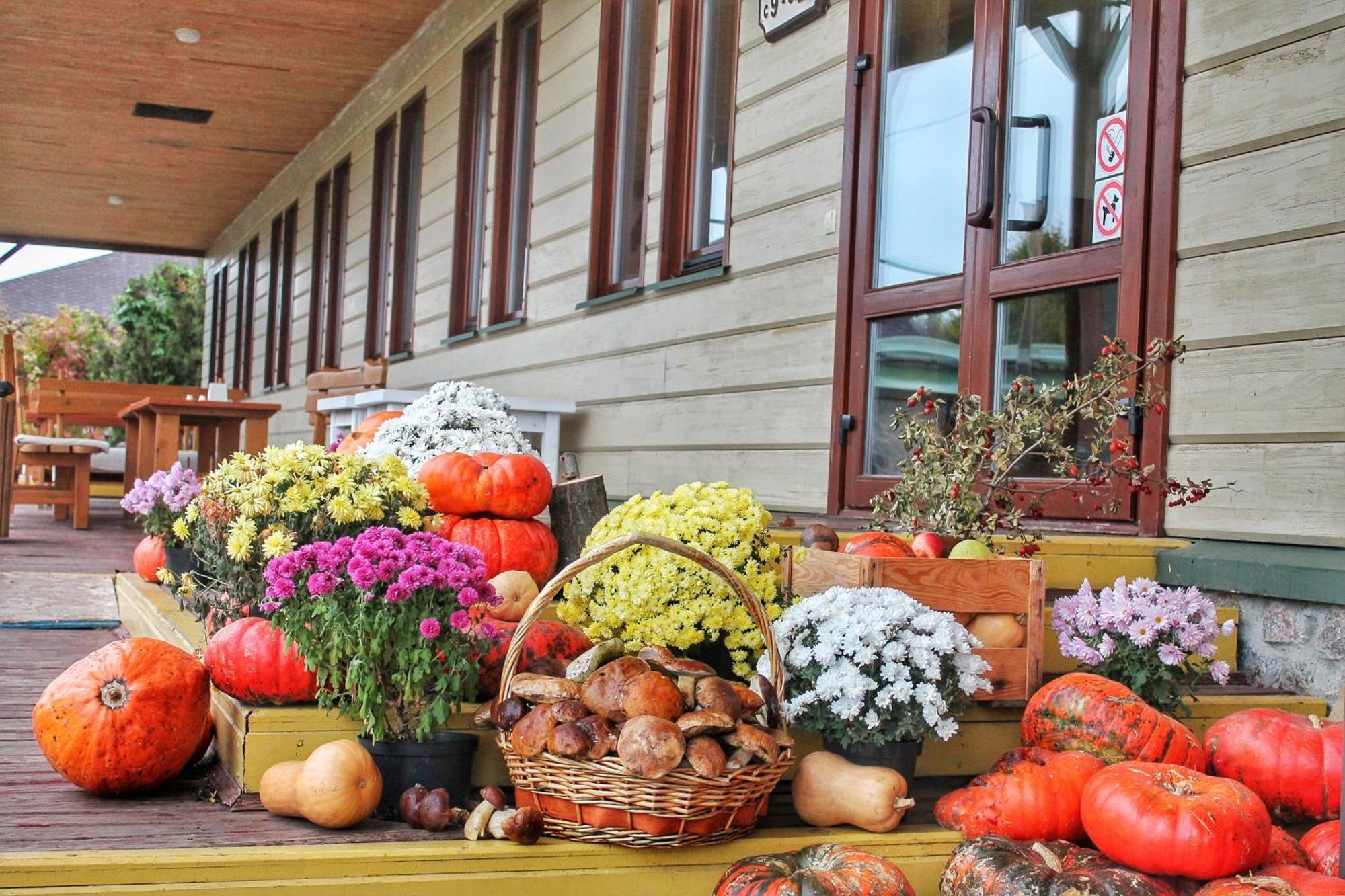 Bereg Holiday Park Szvitlohirszke Kültér fotó